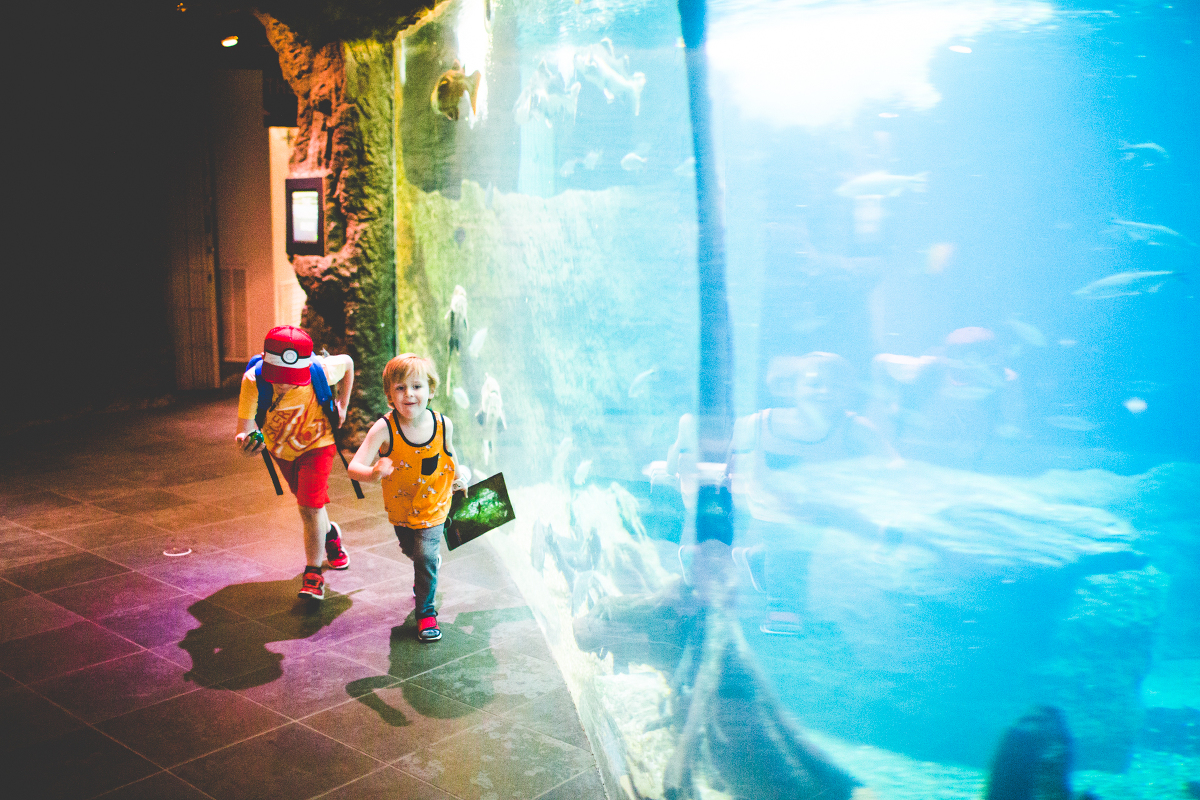 Twenty Hours in Dallas Dallas Aquarium + Arboretum, Too! (But Mostly