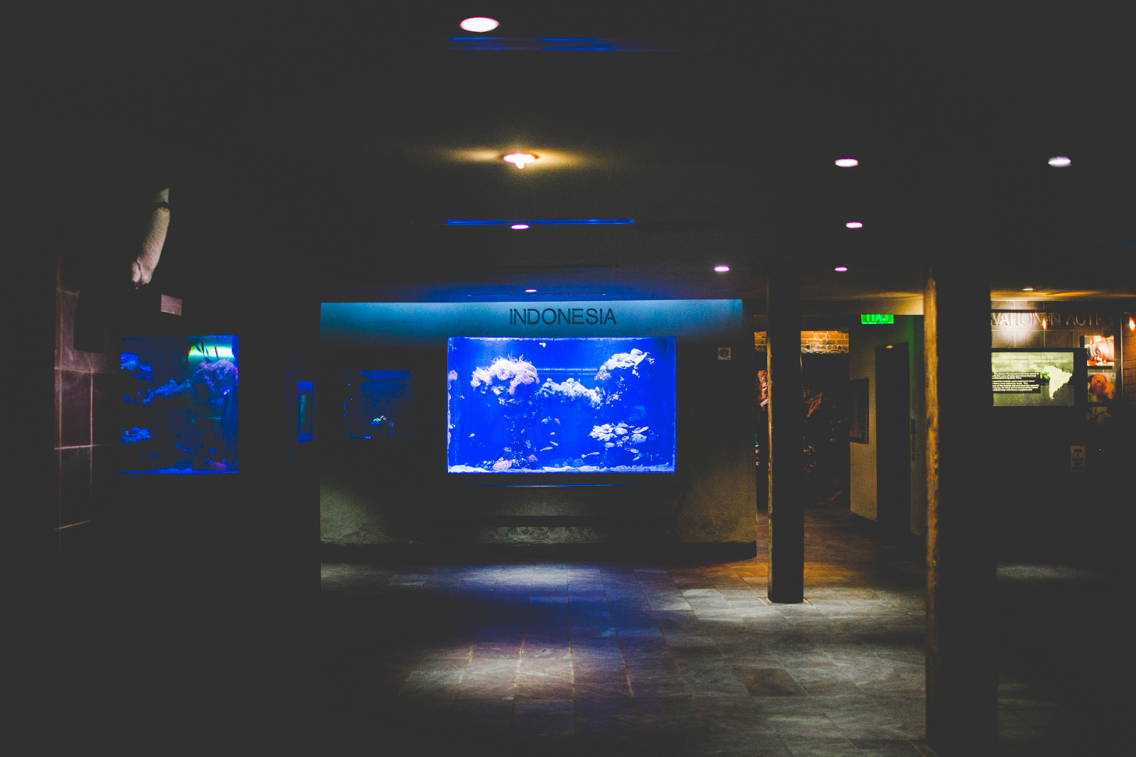 Twenty Hours in Dallas Dallas Aquarium + Arboretum, Too! (But Mostly Aquarium) Lissa