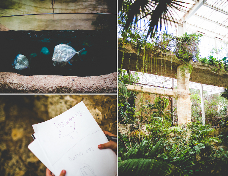 Twenty Hours in Dallas Dallas Aquarium + Arboretum, Too! (But Mostly