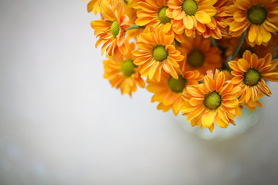Fun, Creative, Different Lifestyle Photographer in NWA