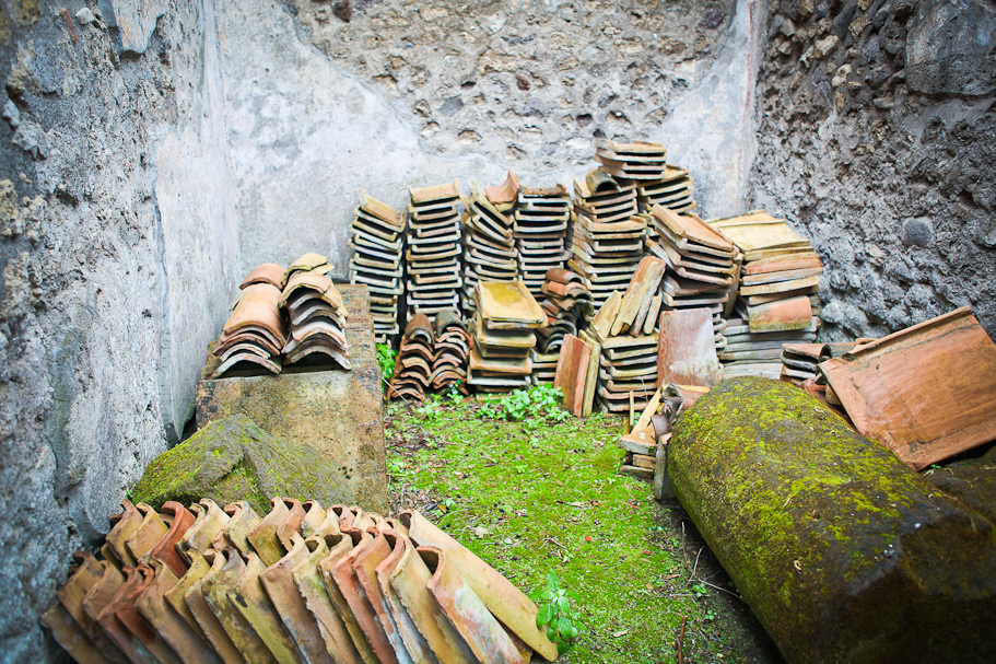 Best Fayetteville Arkansas Photographer