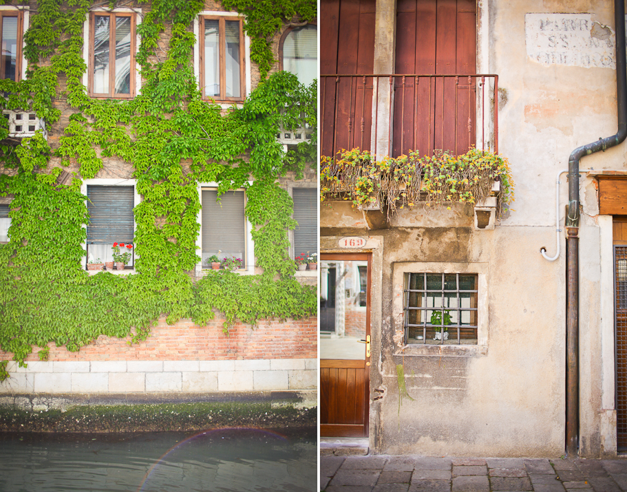 Best Fayetteville Arkansas Photographer