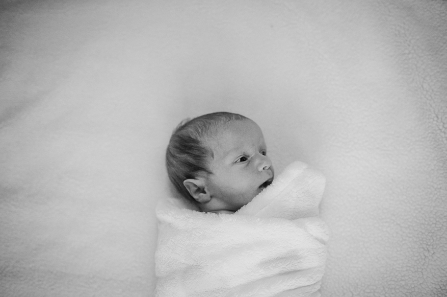Baby Photographer in Fayetteville Arkansas