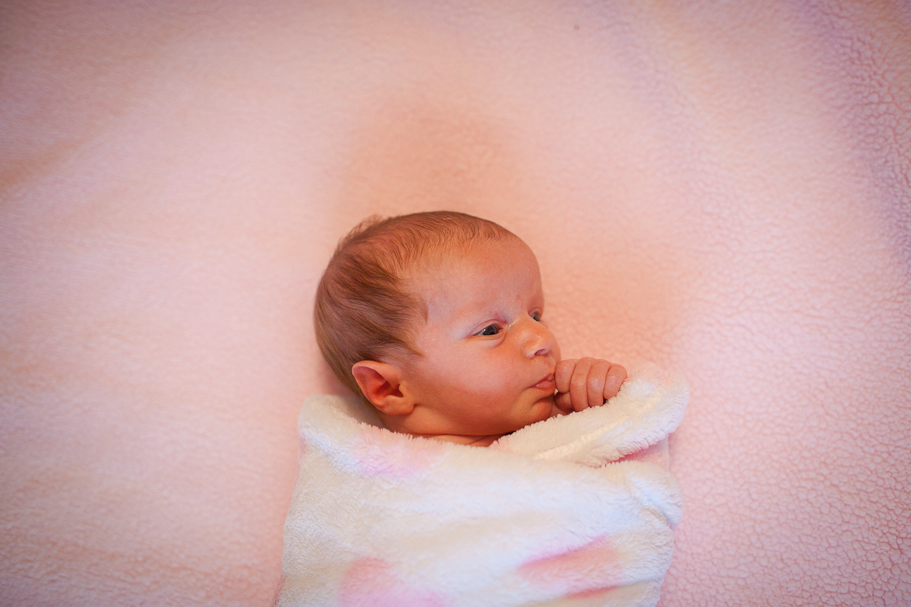 Baby Photographer in Fayetteville Arkansas