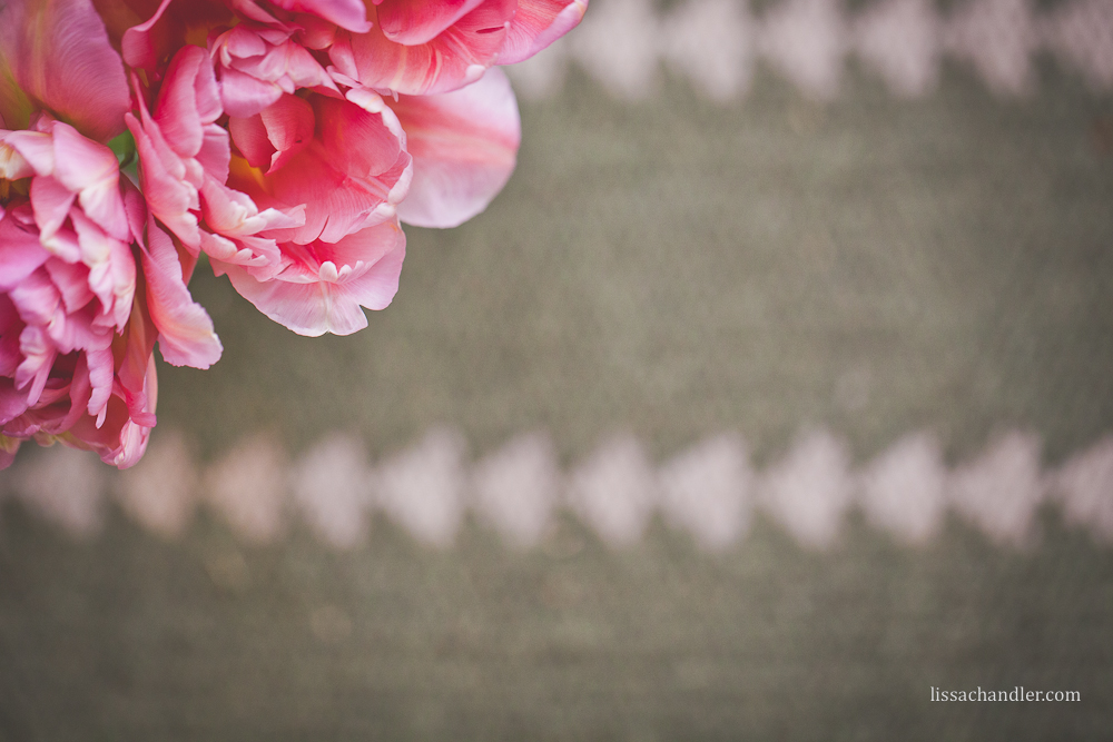 Northwest Arkansas Portrait Photographer