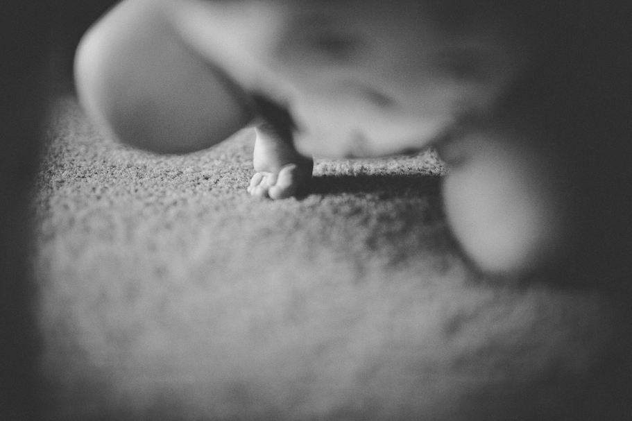 Northwest Arkansas Family Photographer