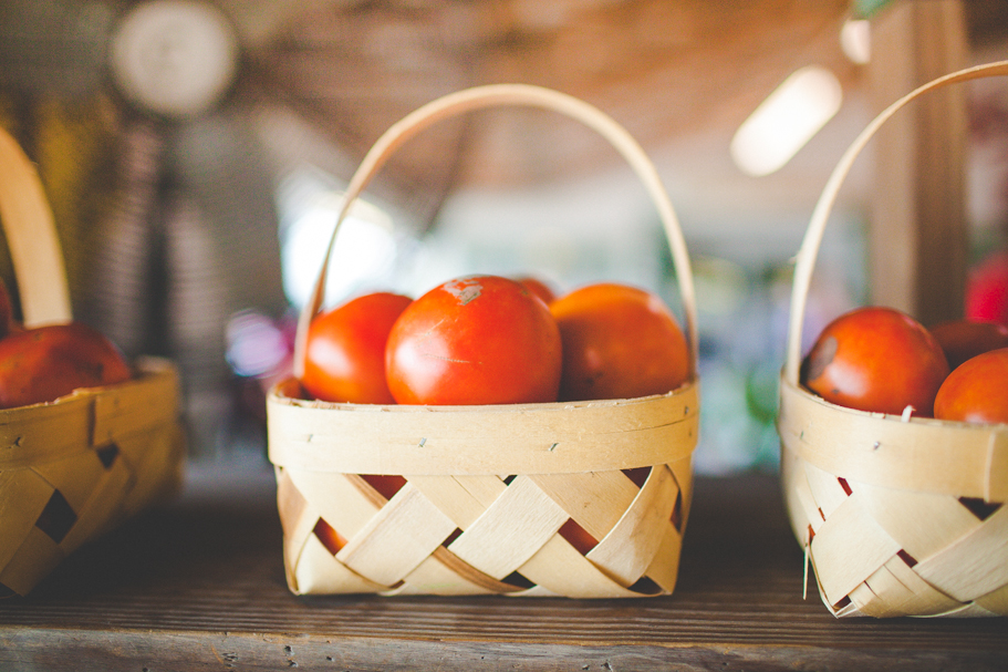 Travel Photographs of Alabama by NWA Portrait, Wedding, and Senior Photographer Lissa Chandler
