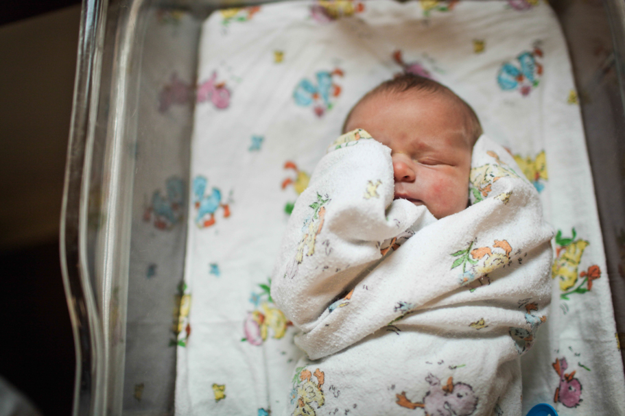Henry | © Lissa Chandler 2012