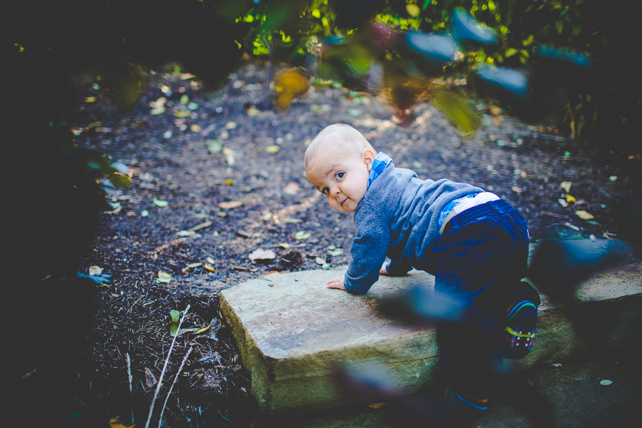 Northwest Arkansas Portrait and Family Photographer - Kansas City Missouri and Lee's Summit Missouri Photographer