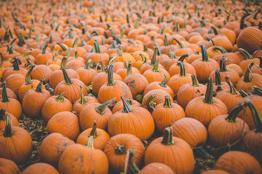 Fayetteville Arkansas Photographer | Senior Portrait, Family, Newborn and Wedding Photographer in Northwest Arkansas-10