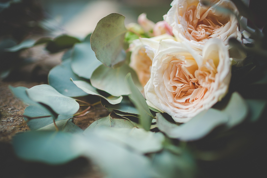 Fayetteville Arkansas Photographer - NWA Wedding Photographer - lissachandler.com