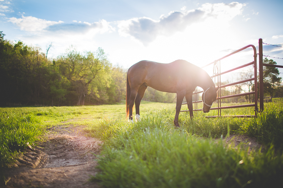 Northwest Arkansas Engagements in Bentonville - Fayetteville Photographer - lissachandler.com
