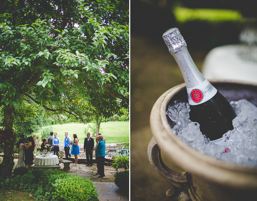 Lissa Chandler - Northwest Arkansas Photographer in Fayetteville - lissachandler.com