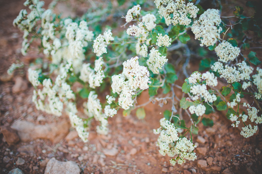 Moab Trip - lissachandler.com -2