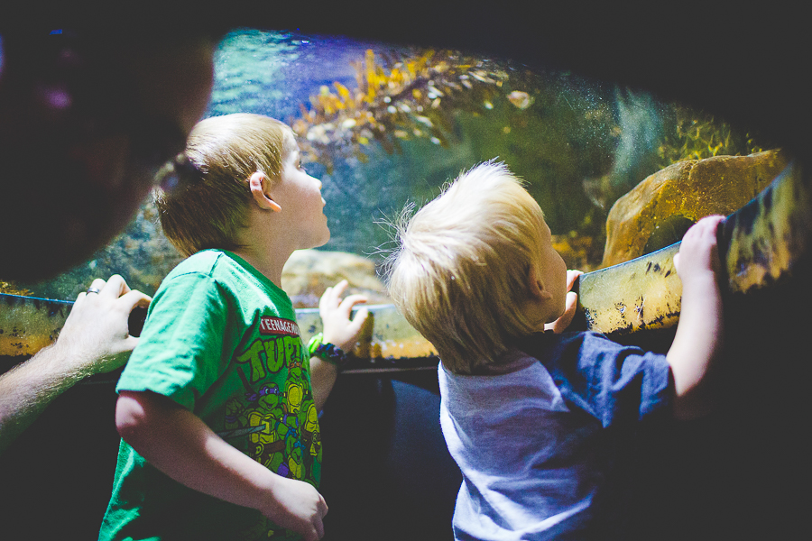 Northwest Arkansas Photographer in Bentonville, Arkansas Wedding and Senior Portrait Photographer, lissachandler.com , Loveland Aquarium