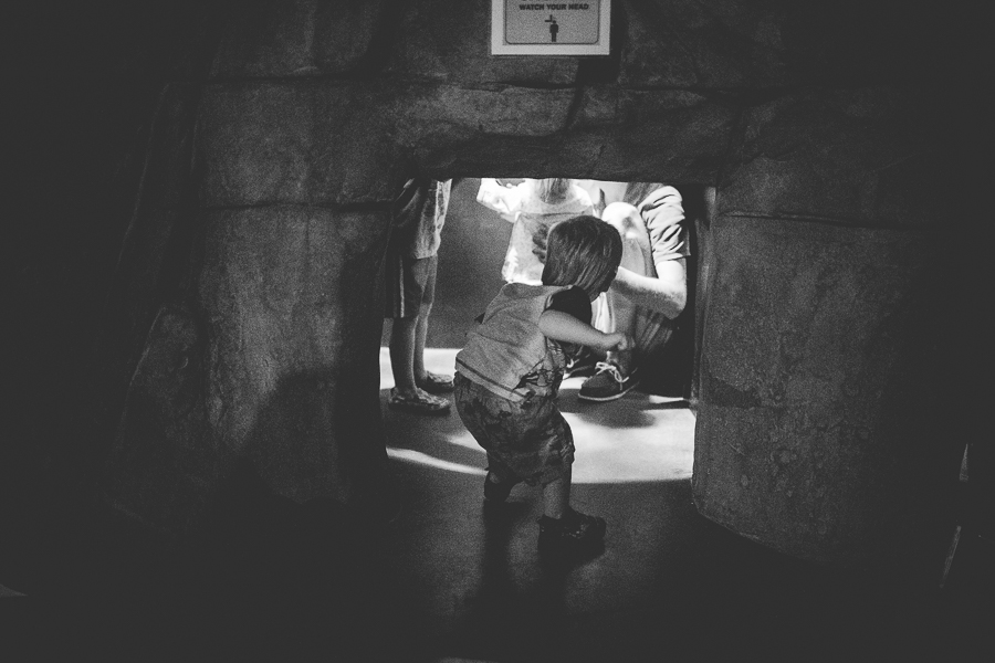 Northwest Arkansas Photographer in Bentonville, Arkansas Wedding and Senior Portrait Photographer, lissachandler.com , Loveland Aquarium