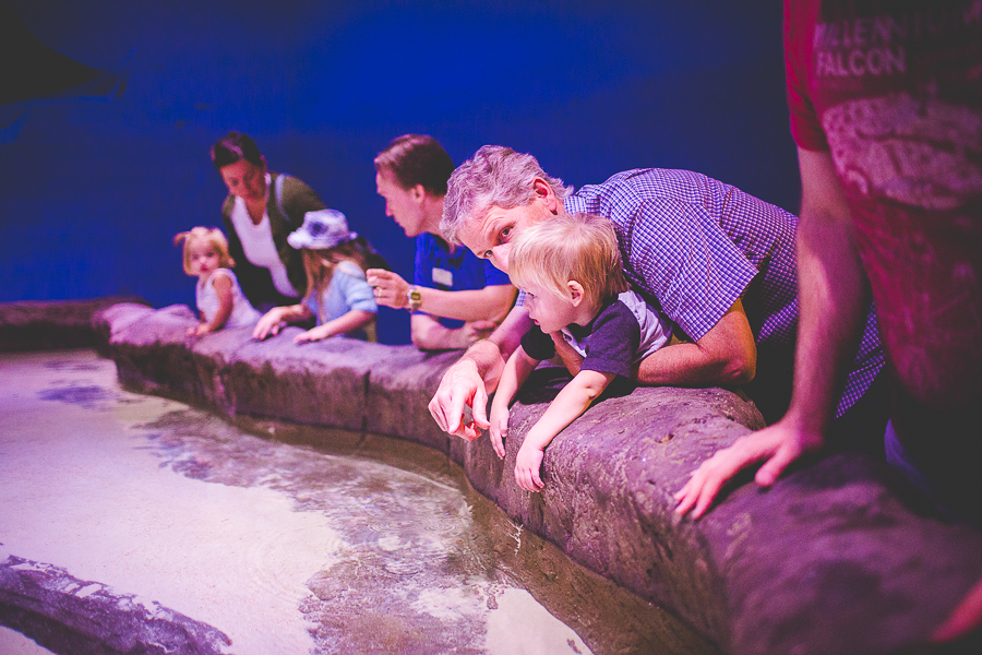 Northwest Arkansas Photographer in Bentonville, Arkansas Wedding and Senior Portrait Photographer, lissachandler.com , Loveland Aquarium