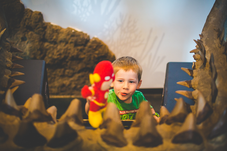 Northwest Arkansas Photographer in Bentonville, Arkansas Wedding and Senior Portrait Photographer, lissachandler.com , Loveland Aquarium