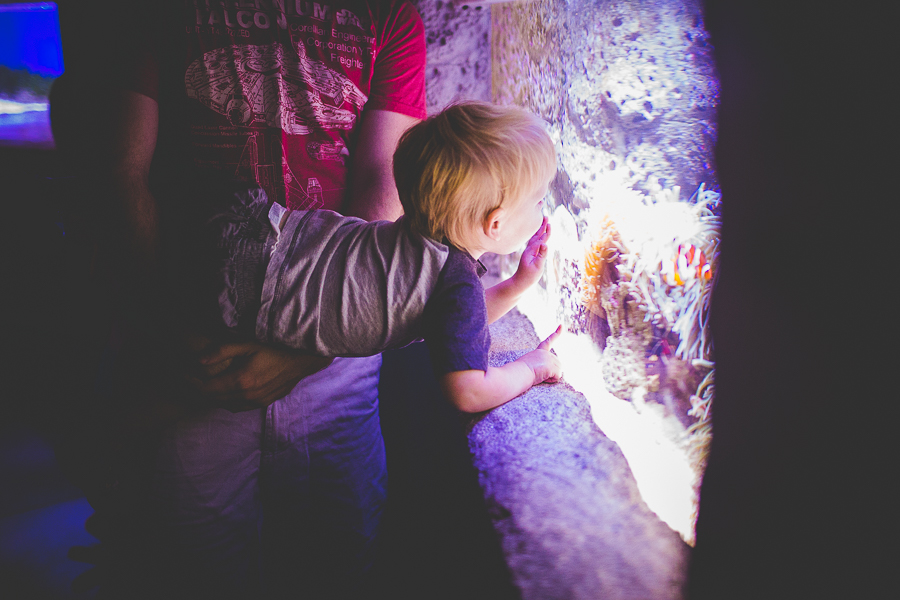 Northwest Arkansas Photographer in Bentonville, Arkansas Wedding and Senior Portrait Photographer, lissachandler.com , Loveland Aquarium