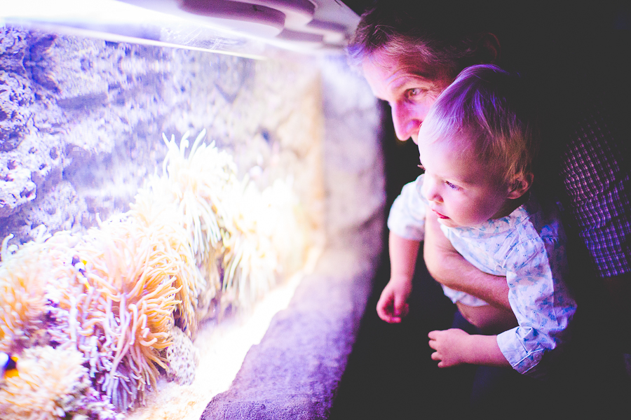 Northwest Arkansas Photographer in Bentonville, Arkansas Wedding and Senior Portrait Photographer, lissachandler.com , Loveland Aquarium