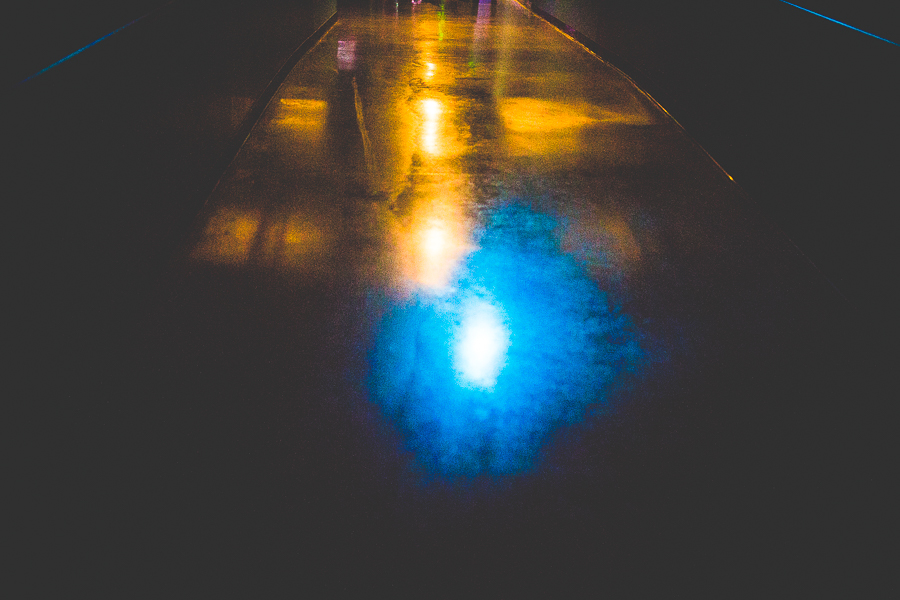 Northwest Arkansas Photographer in Bentonville, Arkansas Wedding and Senior Portrait Photographer, lissachandler.com , Loveland Aquarium