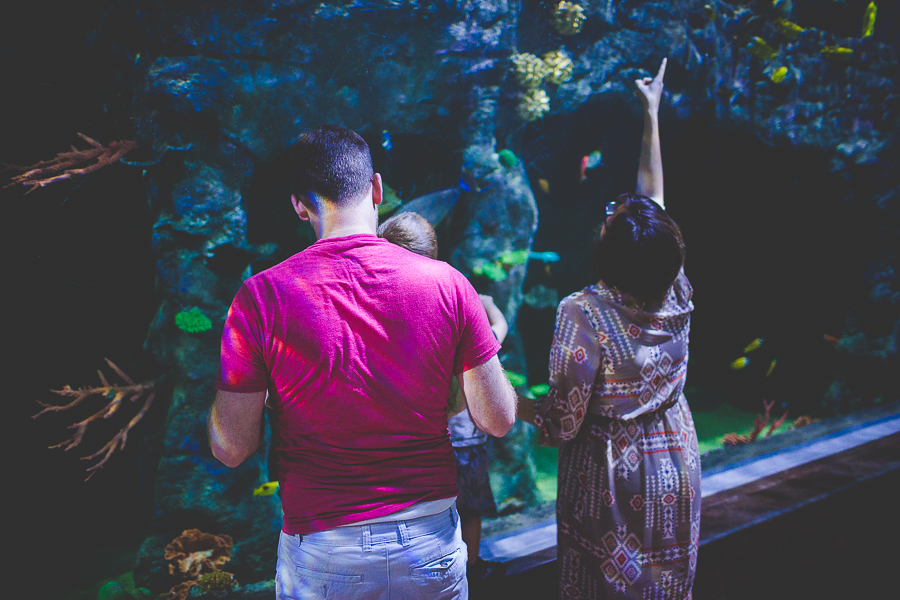 Northwest Arkansas Photographer in Bentonville, Arkansas Wedding and Senior Portrait Photographer, lissachandler.com , Loveland Aquarium