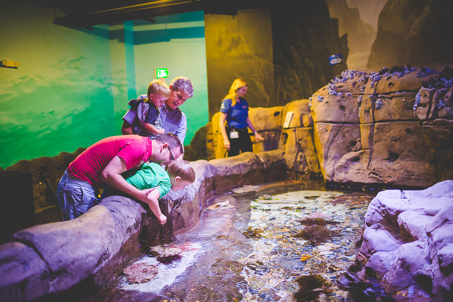 Northwest Arkansas Photographer in Bentonville, Arkansas Wedding and Senior Portrait Photographer, lissachandler.com , Loveland Aquarium