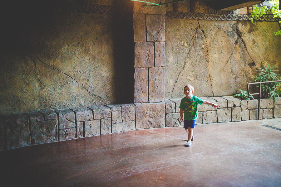 Northwest Arkansas Photographer in Bentonville, Arkansas Wedding and Senior Portrait Photographer, lissachandler.com , Loveland Aquarium