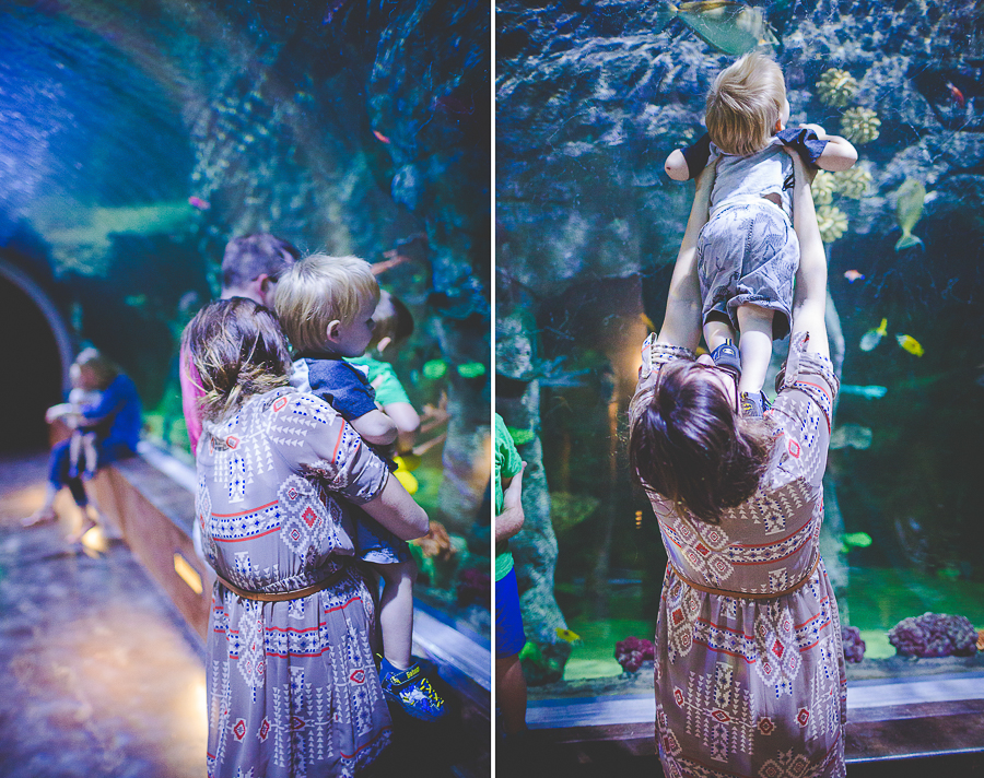 Northwest Arkansas Photographer in Bentonville, Arkansas Wedding and Senior Portrait Photographer, lissachandler.com , Loveland Aquarium