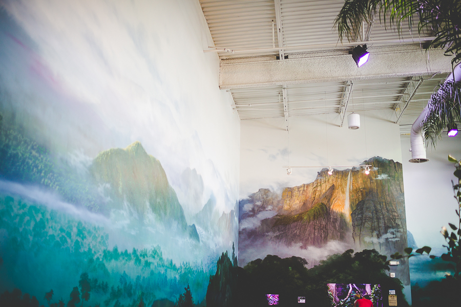 Northwest Arkansas Photographer in Bentonville, Arkansas Wedding and Senior Portrait Photographer, lissachandler.com , Loveland Aquarium