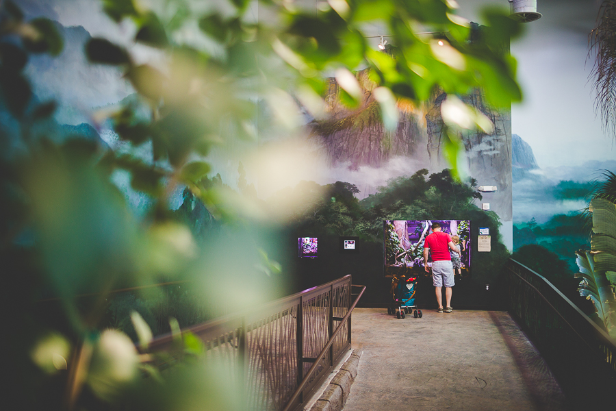 Northwest Arkansas Photographer in Bentonville, Arkansas Wedding and Senior Portrait Photographer, lissachandler.com , Loveland Aquarium