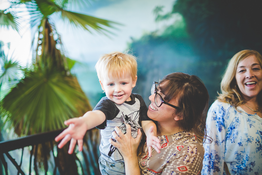 Northwest Arkansas Photographer in Bentonville, Arkansas Wedding and Senior Portrait Photographer, lissachandler.com , Loveland Aquarium