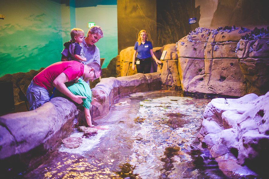 Northwest Arkansas Photographer in Bentonville, Arkansas Wedding and Senior Portrait Photographer, lissachandler.com , Loveland Aquarium