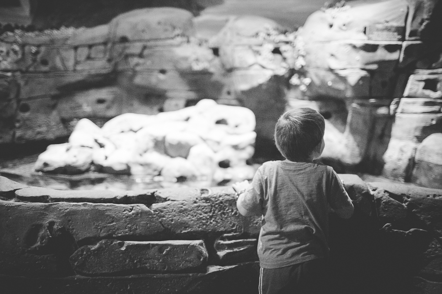 Northwest Arkansas Photographer in Bentonville, Arkansas Wedding and Senior Portrait Photographer, lissachandler.com , Loveland Aquarium