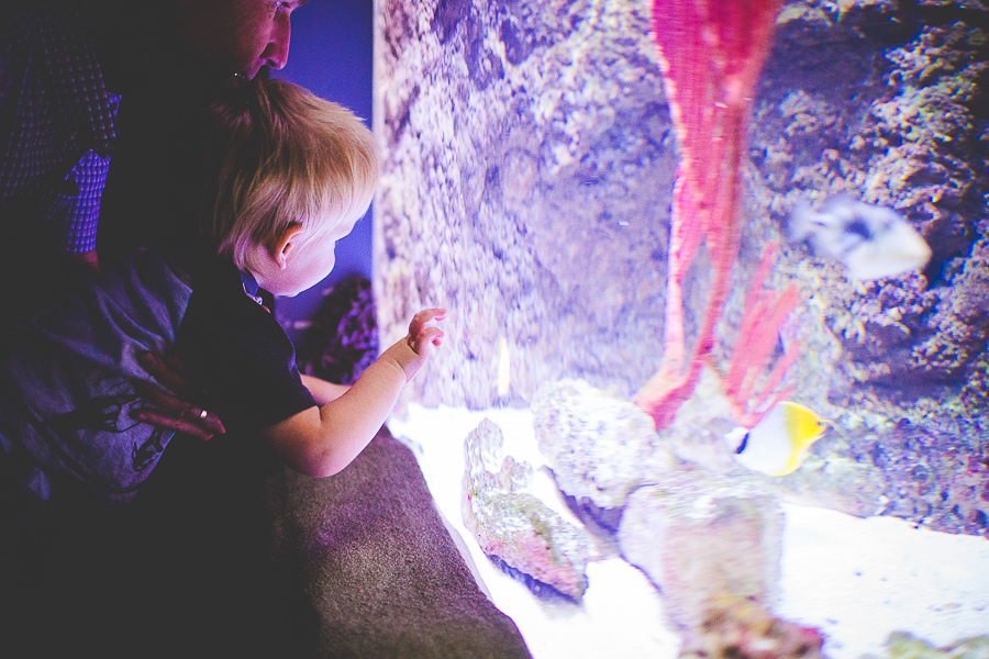 Northwest Arkansas Photographer in Bentonville, Arkansas Wedding and Senior Portrait Photographer, lissachandler.com , Loveland Aquarium