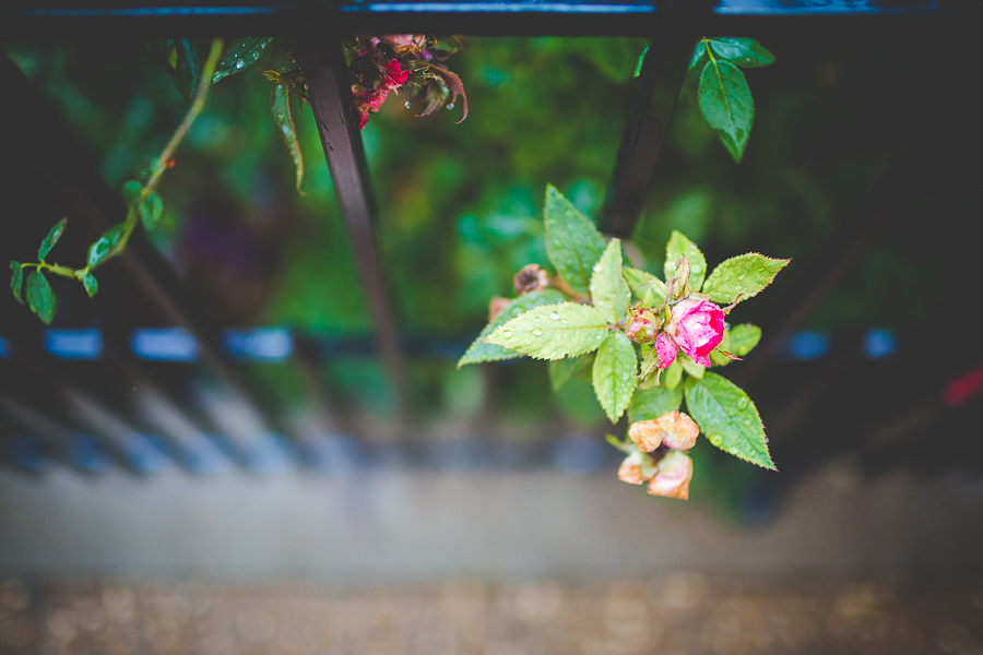 Bentonville Arkansas Wedding Photographer, Indoor Wedding on Rainy Day, lissachandler.com