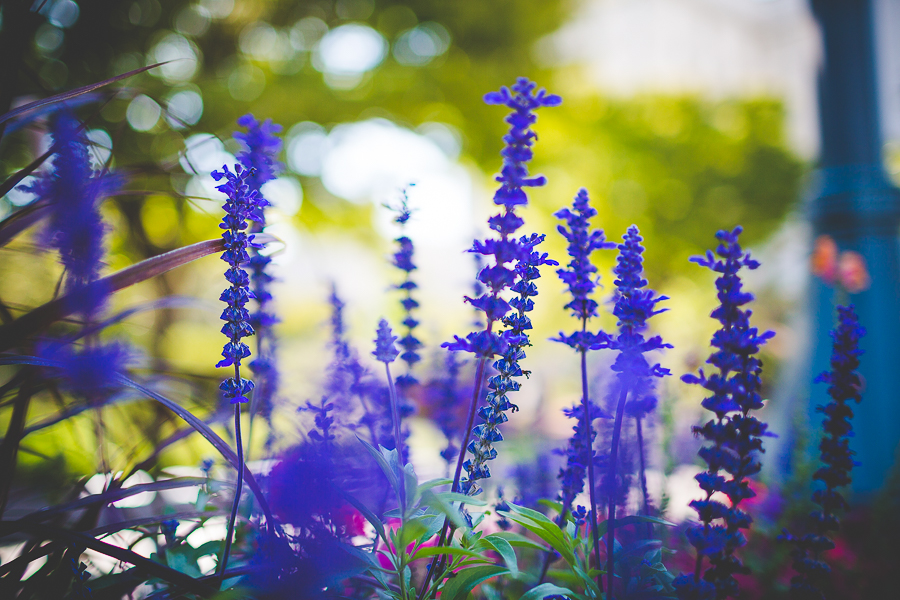 Click Away Photo Walk - Finding Beauty in Unexpected Places - lissachandler.com -69