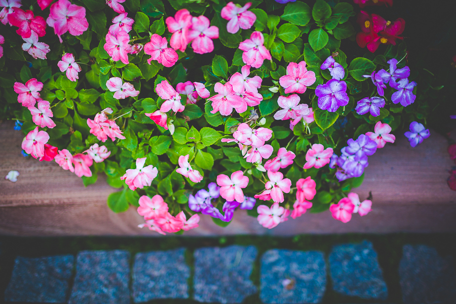 Click Away Photo Walk - Finding Beauty in Unexpected Places - lissachandler.com -73