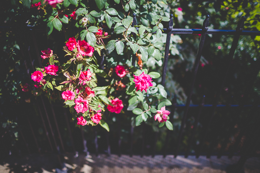 Bentonville Arkansas Wedding Photographer - Unique Wedding Photographer NWA - lissachandler.com