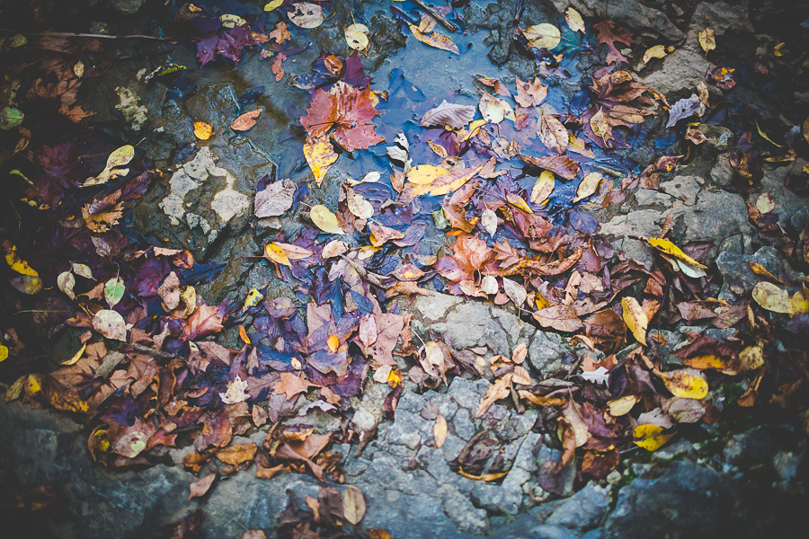 Sydni - Bentonville Arkansas Senior Photographs in Fayetteville - lissachandler.com -15 Senior Photographer in Fayetteville Arkansas, Ballerina Senior Photographs, © Elisabeth Chandler, lissachandler.com