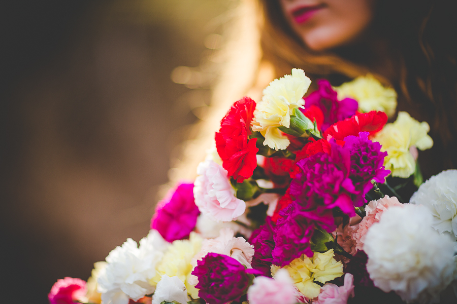 lissachandler.com, fayetteville senior photographer, unique senior portraits, lissa chandler