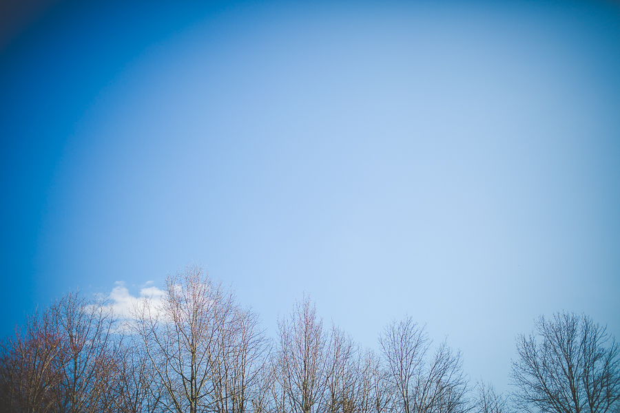 Daytime Spring Wedding, Southern Wedding Photographers, lissachandler.com