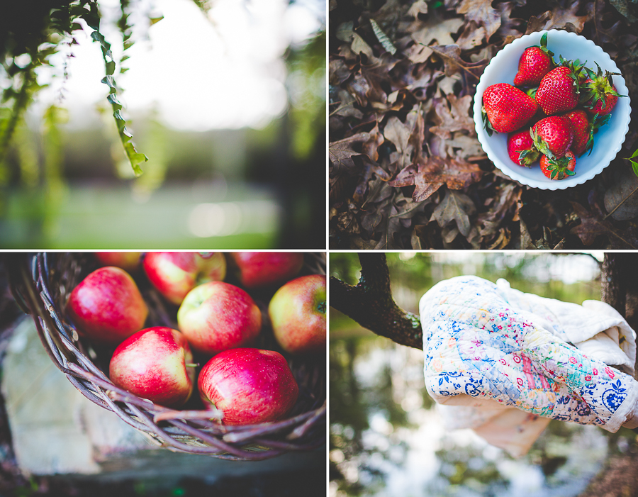 NWA Wedding Photographer in Fayetteville Arkansas, Lissa Chandler Photography, lissachandler.com