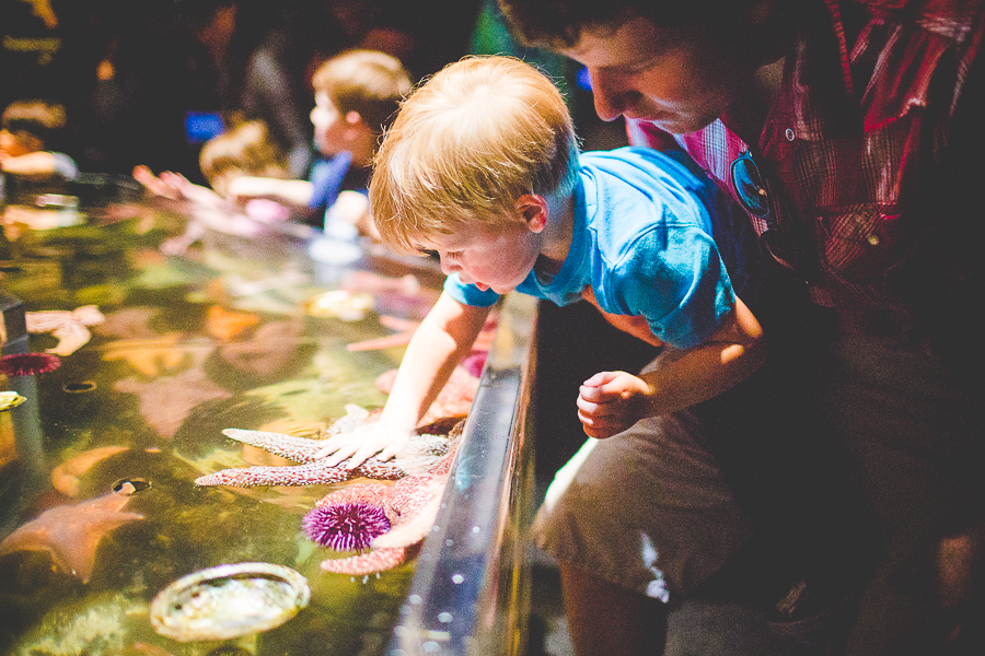 Family Trip to San Francisco | lissachandler.com -12