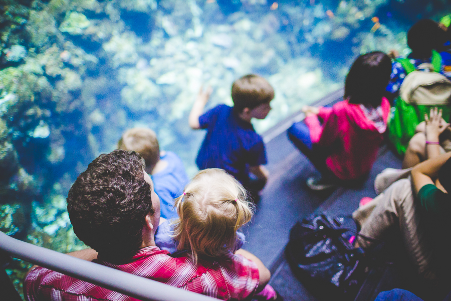 Family Trip to San Francisco | lissachandler.com -14