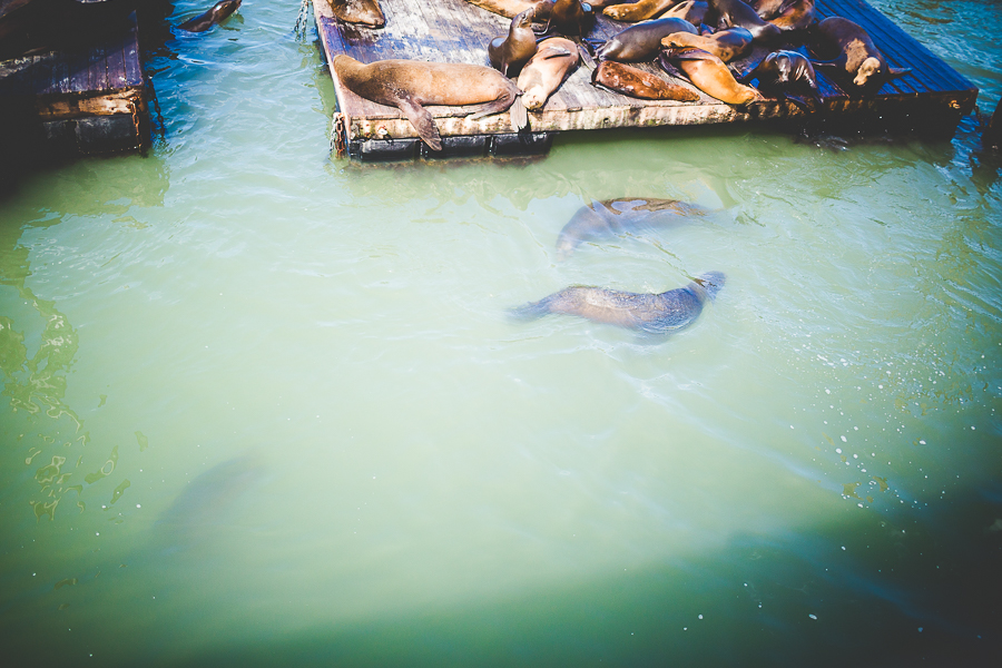 Family Trip to San Francisco | lissachandler.com -23