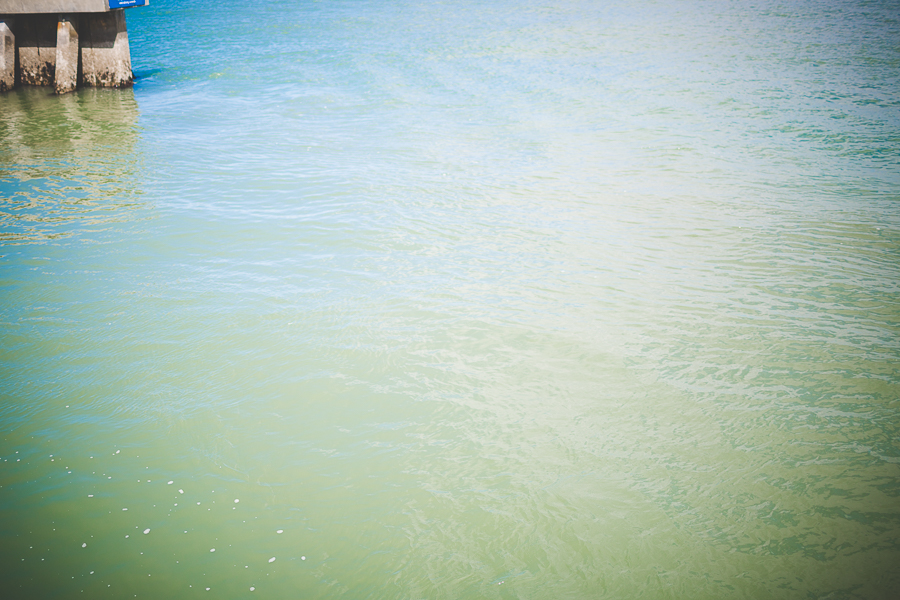 Family Trip to San Francisco | lissachandler.com -30