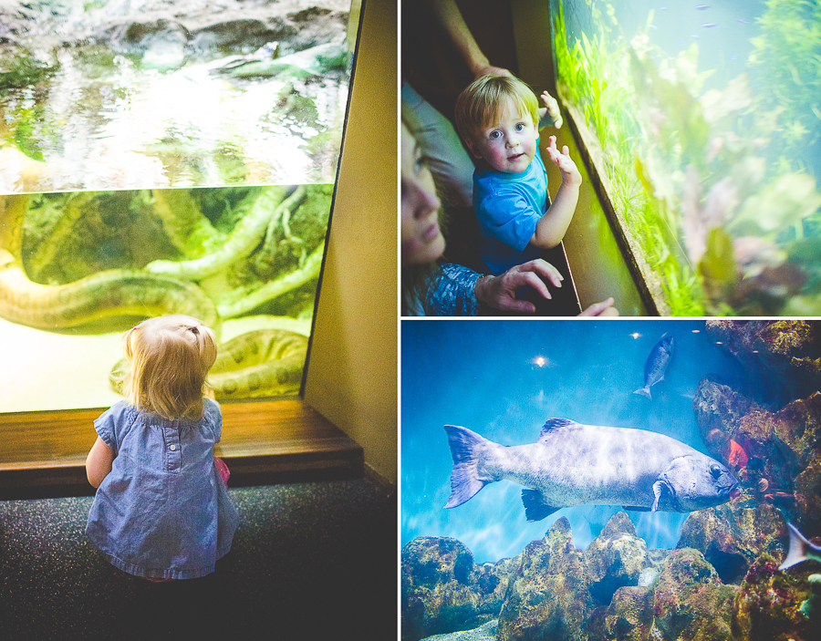 Family Trip to San Francisco | lissachandler.com -51