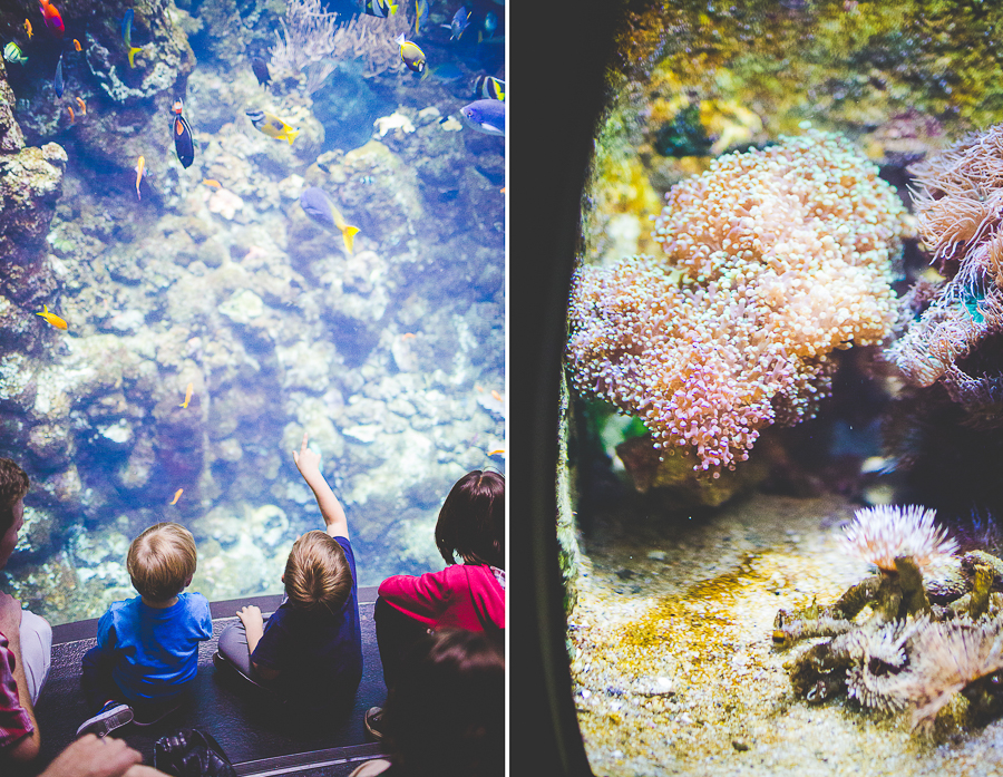 Family Trip to San Francisco | lissachandler.com -52