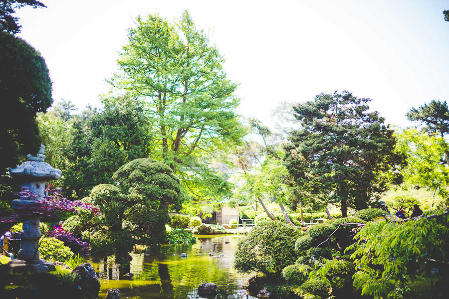 Family Trip to San Francisco | lissachandler.com -8